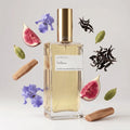 Notas olfativas de Velluto, perfume inspirado en Gris Charnel de BDK Parfums